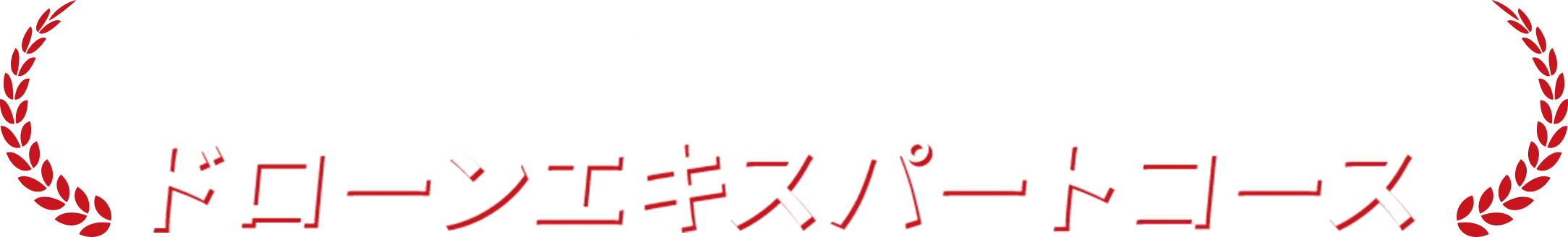 FPVパイロットコースと国家資格コースを同時に受講する ドローンエキスパートコース